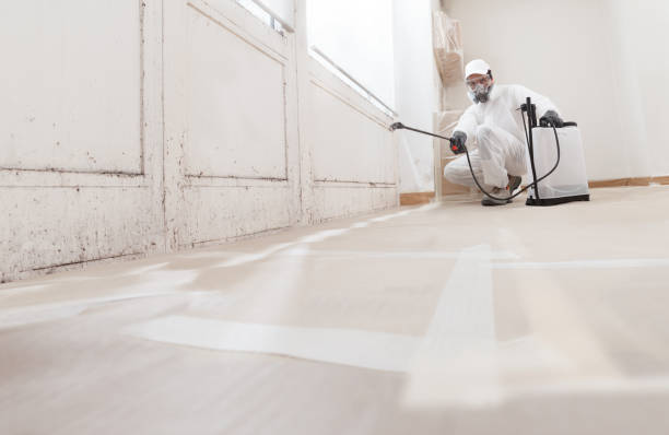 24/7 Emergency Mold Removal experts in McQueeney, TX